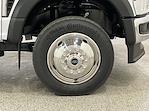 2025 Ford Super Duty F-550 DRW F-550® XL for sale #F213110 - photo 10
