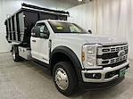 2025 Ford Super Duty F-550 DRW F-550® XL for sale #F213110 - photo 1