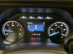2025 Ford Super Duty F-350 DRW F-350® XL for sale #F213113 - photo 20