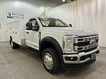 2025 Ford Super Duty F-550 DRW F-550® XL for sale #F213117 - photo 1