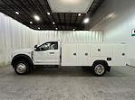 2025 Ford Super Duty F-550 DRW F-550® XL for sale #F213117 - photo 7