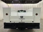 2025 Ford Super Duty F-550 DRW F-550® XL for sale #F213117 - photo 8