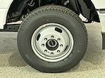 2025 Ford Super Duty F-350 DRW F-350® XL for sale #F213144 - photo 10