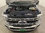 2025 Ford Super Duty F-350 SRW F-350® XLT for sale #F213154 - photo 11