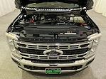 2025 Ford Super Duty F-350 DRW XL for sale #F213168 - photo 11