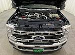 2025 Ford Super Duty F-550 DRW F-550® XL for sale #F213196 - photo 11