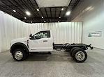 2025 Ford Super Duty F-550 DRW F-550® XL for sale #F213205 - photo 6