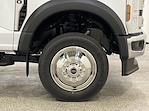2025 Ford Super Duty F-550 DRW F-550® XL for sale #F213217 - photo 10