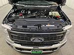 2025 Ford Super Duty F-250 SRW F-250® XL for sale #F213285 - photo 11