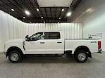 2025 Ford Super Duty F-250 SRW F-250® XL for sale #F213286 - photo 7