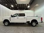 2025 Ford Super Duty F-250 SRW F-250® XL for sale #F213297 - photo 7
