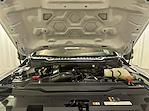 2025 Ford Super Duty F-250 SRW F-250® XL for sale #F213315 - photo 11