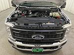 New 2025 Ford F-350 XL Regular Cab 4x4 SRW Pickup for sale #F213356 - photo 11