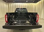 2025 Ford Super Duty F-250 SRW F-250® XL for sale #F213399 - photo 16