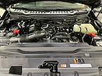 New 2026 Ford F-250 XL Crew Cab 4WD Pickup for sale #F213695 - photo 11