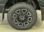 New 2026 Ford F-350 Platinum Crew Cab 4x4 SRW Pickup for sale #F214056 - photo 10