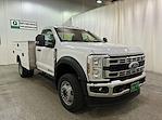 2025 Ford Super Duty F-550 DRW F-550® XL for sale #F214288 - photo 1
