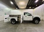 2025 Ford Super Duty F-550 DRW F-550® XL for sale #F214288 - photo 6