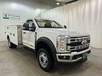 2025 Ford Super Duty F-550 DRW F-550® XL for sale #F214444 - photo 1