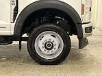 2025 Ford Super Duty F-550 DRW F-550® XL for sale #F214444 - photo 10