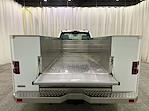 2025 Ford Super Duty F-550 DRW F-550® XL for sale #F214444 - photo 16