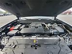 2023 Chevrolet Colorado Crew Cab 4WD Pickup for sale #51856A - photo 18