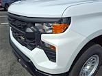 2025 Chevrolet Silverado 1500 Regular Cab 2WD Pickup for sale #51964 - photo 14