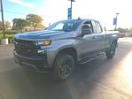 2019 Chevrolet Silverado 1500 Double Cab 4WD Pickup for sale #52553B - photo 1