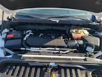 2023 Chevrolet Silverado 1500 Crew Cab 4WD Pickup for sale #T22891 - photo 16