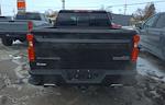 2024 Chevrolet Silverado 1500 Crew Cab 4WD Pickup for sale #T23719 - photo 3