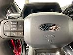 2024 Ford F-150 SuperCrew Cab 4x4 Pickup for sale #17384 - photo 23