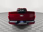2024 Ford F-150 SuperCrew Cab 4x4 Pickup for sale #17384 - photo 8