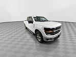 2024 Ford F-150 SuperCrew Cab 4x4 Pickup for sale #17399 - photo 3