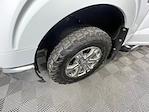 2022 Ford F-150 SuperCrew Cab 4x4 Pickup for sale #17452 - photo 11