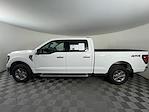 2024 Ford F-150 SuperCrew Cab 4x4 Pickup for sale #17470 - photo 6