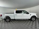 2024 Ford F-150 SuperCrew Cab 4x4 Pickup for sale #17470 - photo 9
