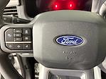 2024 Ford F-150 SuperCrew Cab 4x4 Pickup for sale #17573 - photo 25