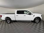 2024 Ford F-150 SuperCrew Cab 4x4 Pickup for sale #17573 - photo 9