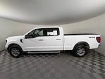 2024 Ford F-150 SuperCrew Cab 4x4 Pickup for sale #17580 - photo 5