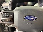 2024 Ford F-150 SuperCrew Cab 4x4 Pickup for sale #17586 - photo 24