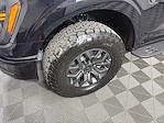 2025 Ford F-150 SuperCrew Cab 4x4 Pickup for sale #17602 - photo 9