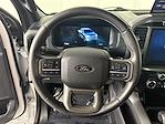 2024 Ford F-150 SuperCrew Cab 4x4 Pickup for sale #17603 - photo 15