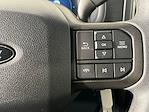 2024 Ford F-150 SuperCrew Cab 4WD Pickup for sale #17823 - photo 18