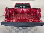 2024 Ford F-150 SuperCrew Cab 4WD Pickup for sale #17823 - photo 26