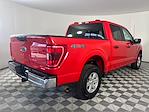 2023 Ford F-150 SuperCrew Cab 4WD Pickup for sale #17877 - photo 2