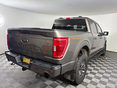 Used 2022 Ford F-150 Tremor SuperCrew Cab for sale #17991 - photo 2