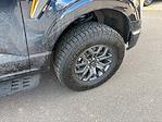 2022 Ford F-150 SuperCrew Cab 4WD Pickup for sale #18025 - photo 12