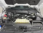 2023 Ford F-150 SuperCrew Cab 4WD Pickup for sale #525327A - photo 10