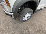 2024 Ford F-600 Regular Cab DRW 4x4 Cab Chassis for sale #564024 - photo 9