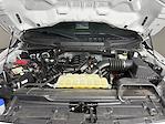 2023 Ford F-150 SuperCrew Cab 4WD Pickup for sale #65187A - photo 9